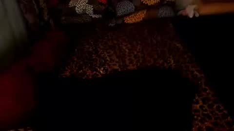 Snapshot of iamsuprememistress chatting on 12-26-24, 02:27 MADAM MISTRESS ASIANA online show from 12-26-24, 02:27