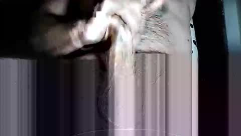 Snapshot of iamtheswayze chatting on 03-11-26, 10:10 Pat online show from 03-11-26, 10:10