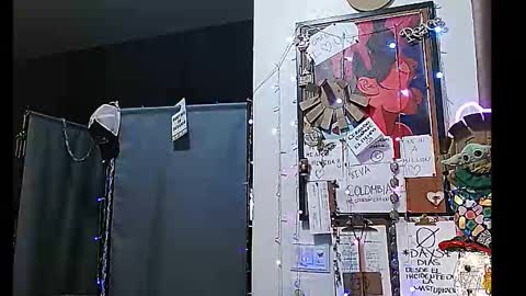 Snapshot of ibpms247 chatting on 12-30-24, 03:47 PMS online show from 12-30-24, 03:47