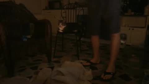 idksohorny online show from 12-21-24, 06:41