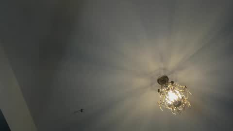 Snapshot of igor_scott chatting on 02-16-25, 04:42 Igor scott online show from 02-16-25, 04:42