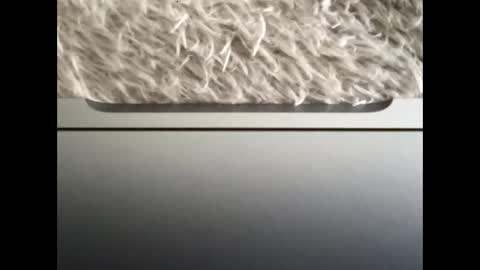 Morvoys online show from 09-14-25, 01:43