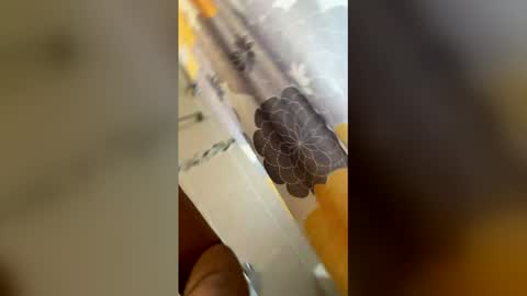 Snapshot of ikaikagora00 chatting on 03-05-26, 04:36 ikaikagora00 online show from 03-05-26, 04:36