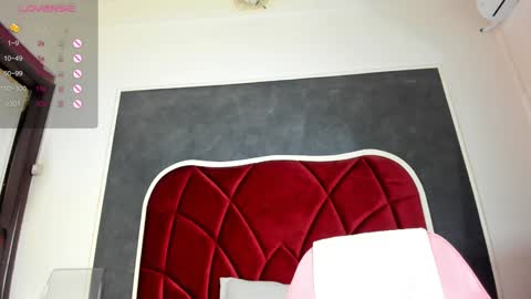 illegal_lorry online show from 01-16-25, 10:53