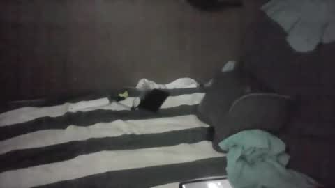 iloveitall86 online show from 11-04-25, 06:01