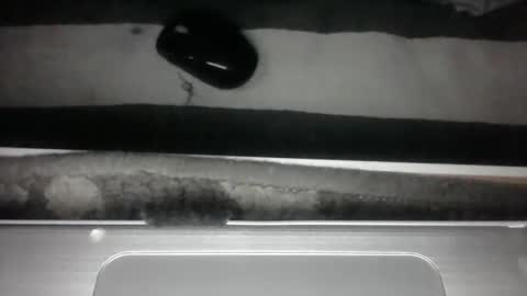 iloveitall86 online show from 04-12-26, 04:50