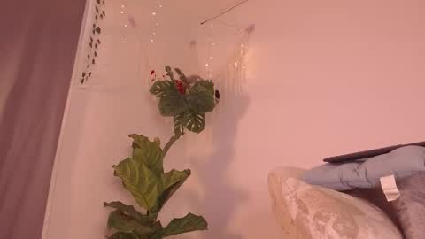 Kaia online show from 01-09-26, 07:59