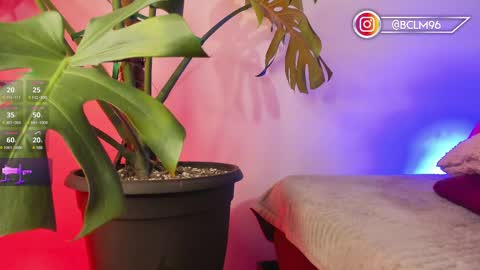 Bryan online show from 02-12-25, 05:47