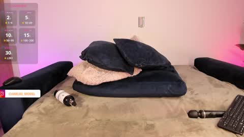 Snapshot of im_charliee chatting on 01-24-25, 06:04 charlie online show from 01-24-25, 06:04