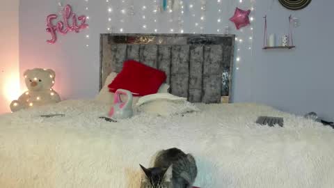 Snapshot of im_letty chatting on 02-24-25, 05:43 Letty online show from 02-24-25, 05:43