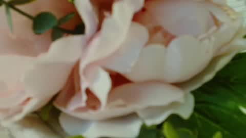 Carrie online show from 03-01-25, 07:15