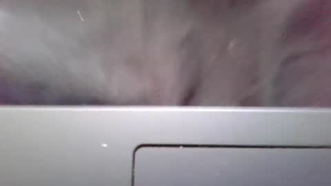 Snapshot of imstillstrokin chatting on 10-22-25, 07:35 imstillstrokin online show from 10-22-25, 07:35