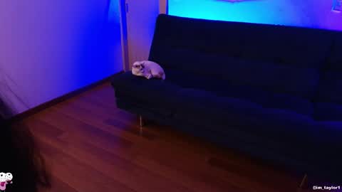 TAYLOR  online show from 10-24-25, 01:03