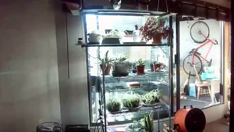 BroLOU online show from 06-11-26, 02:53