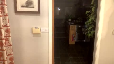 inkpiggy online show from 02-20-26, 12:51