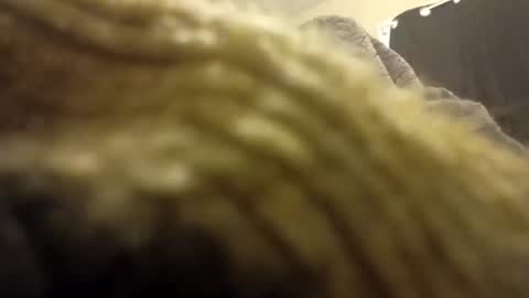 Snapshot of internationalwang chatting on 03-10-25, 02:48 internationalwang online show from 03-10-25, 02:48