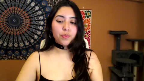 Snapshot of intimatetales chatting on 02-27-25, 06:09 Africa online show from 02-27-25, 06:09