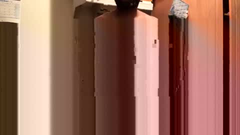 Snapshot of inyourmouthagain83 chatting on 10-08-25, 09:29 inyourmouthagain online show from 10-08-25, 09:29