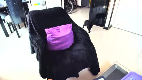 Snapshot of irinastephann chatting on 02-15-25, 04:45 irina online show from 02-15-25, 04:45