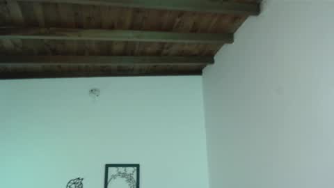 Iris online show from 01-16-25, 06:06