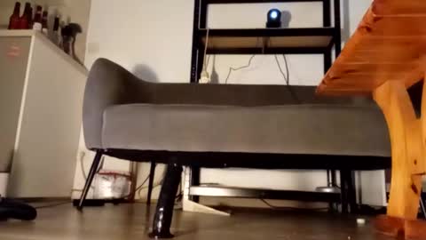 iron_cock40 online show from 02-13-26, 09:55