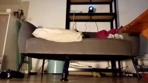 iron_cock40 online show from 04-24-26, 10:01