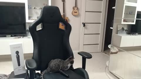 Irwi Tomboy online show from 12-26-24, 11:24