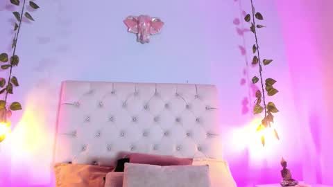   online show from 11-05-25, 08:42