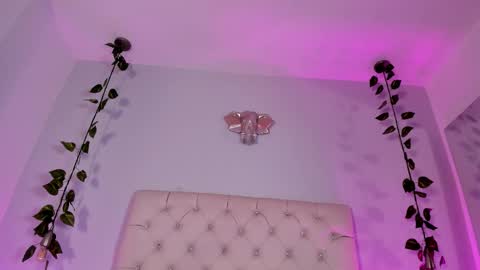   online show from 11-18-25, 09:19