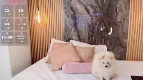 ISADORA online show from 10-13-25, 02:28