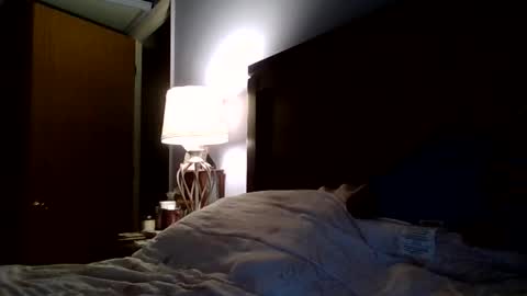 youngking online show from 03-05-26, 10:17