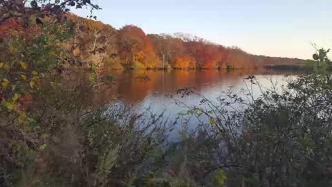 Snapshot of islandguy70 chatting on 02-23-25, 07:33 Jim online show from 02-23-25, 07:33