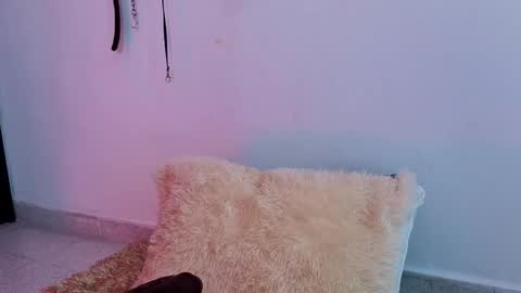 Issafoxx online show from 04-13-26, 12:10