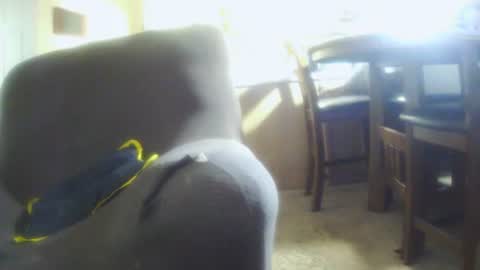 italythick online show from 07-12-26, 12:56