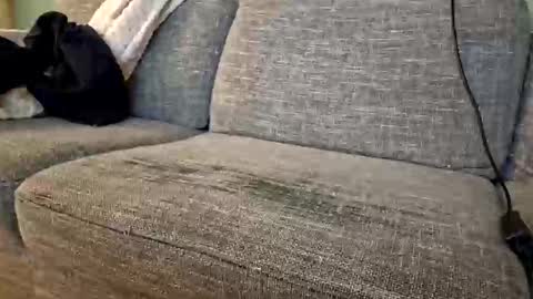 itsjeroen online show from 11-02-25, 01:52