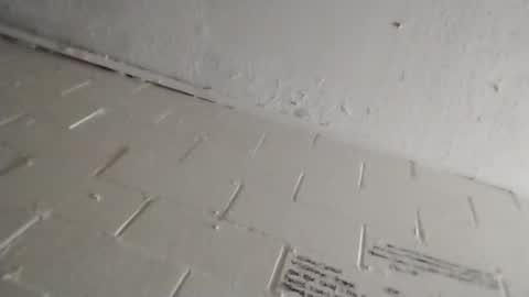 ittybitty0075 online show from 03-11-26, 04:46