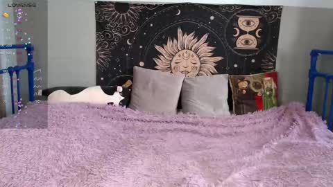 Sasha online show from 02-12-26, 09:48