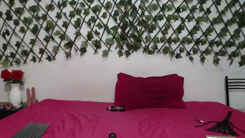 Snapshot of ivonnecarrter chatting on 06-17-26, 03:31 iivycarrter online show from 06-17-26, 03:31