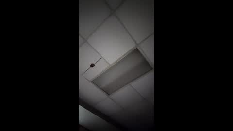 Snapshot of j3usix chatting on 01-14-26, 11:49 wonderbread online show from 01-14-26, 11:49