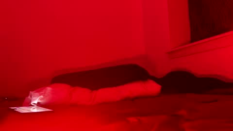 j4ckoff online show from 11-22-25, 05:50