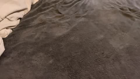 j_m12397 online show from 02-27-26, 03:17