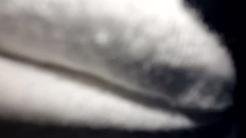 Snapshot of jack5ddddd chatting on 03-26-26, 12:00 jack5ddddd online show from 03-26-26, 12:00