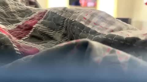 Snapshot of jackinjames92 chatting on 01-23-25, 05:42 jackinjames92 online show from 01-23-25, 05:42