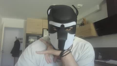 Snapshot of jackstoun_puppy chatting on 03-03-25, 11:33 ENygma online show from 03-03-25, 11:33