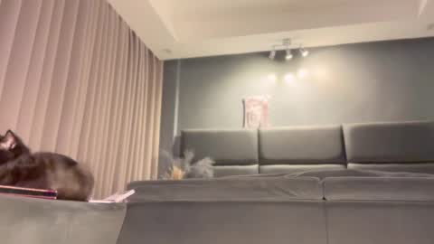 Snapshot of jacolandia chatting on 02-23-25, 06:56 jacolandia online show from 02-23-25, 06:56