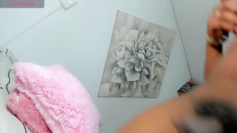 Snapshot of jaddy_lol chatting on 01-14-25, 08:52 Vanniall online show from 01-14-25, 08:52