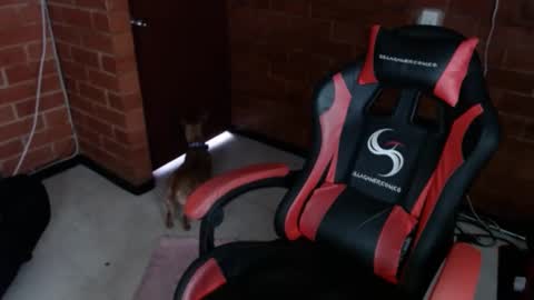 jadesexfun online show from 03-12-25, 02:45