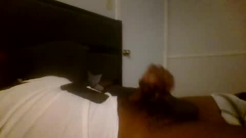 Snapshot of jamacianmehorny chatting on 12-16-24, 03:19 Jamacian online show from 12-16-24, 03:19