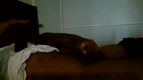 Snapshot of jamacianmehorny chatting on 01-02-25, 08:35 Jamacian online show from 01-02-25, 08:35