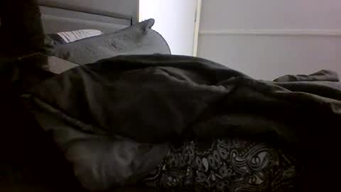 Snapshot of jamacianmehorny chatting on 01-28-25, 10:12 Jamacian online show from 01-28-25, 10:12